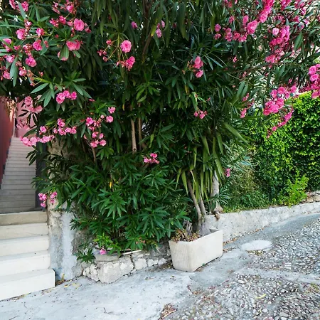 Apartament The Charming House