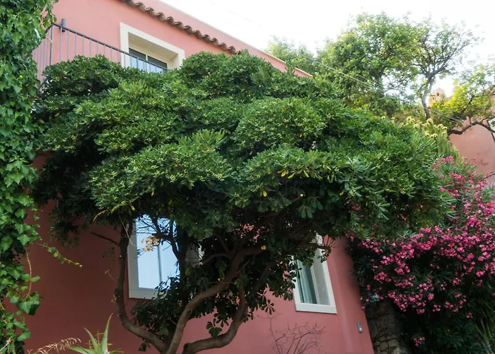 The Charming House *