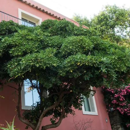 The Charming House *